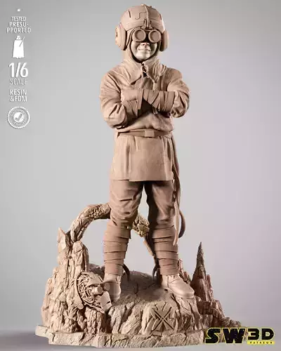 STAR WARS Anakin Kid Sculpture 3D print model