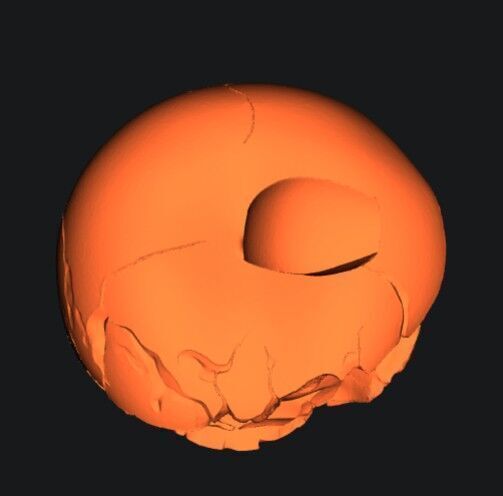 Skullintosh 3D print model_5