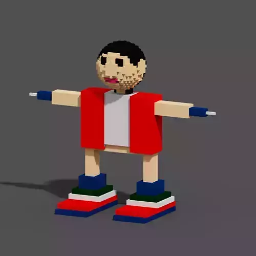 Character Voxel N50