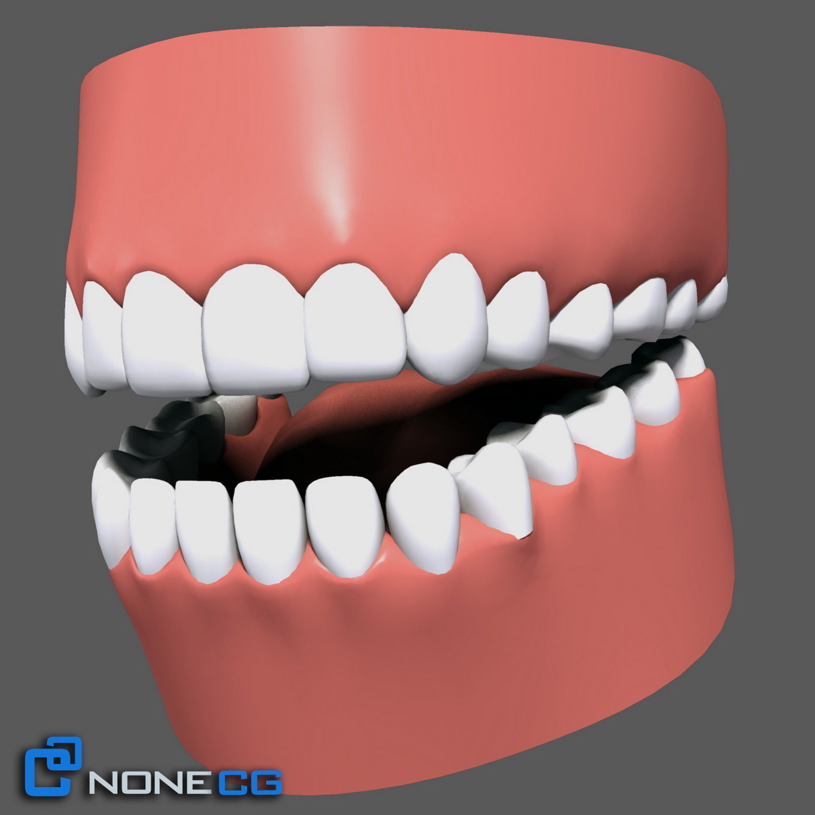Adult Female Head Rigged 3D model_17