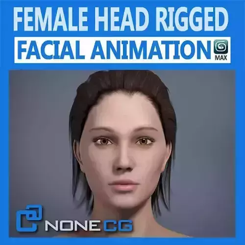 Adult Female Head Rigged 3D model