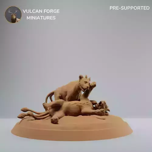 Fantasy Lion Cubs Playing Ashplains Cubs Supported