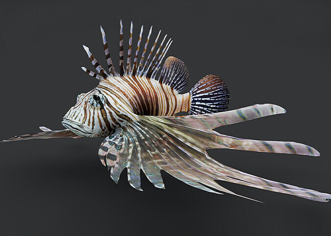 Realistic Lionfish Animated 3D model