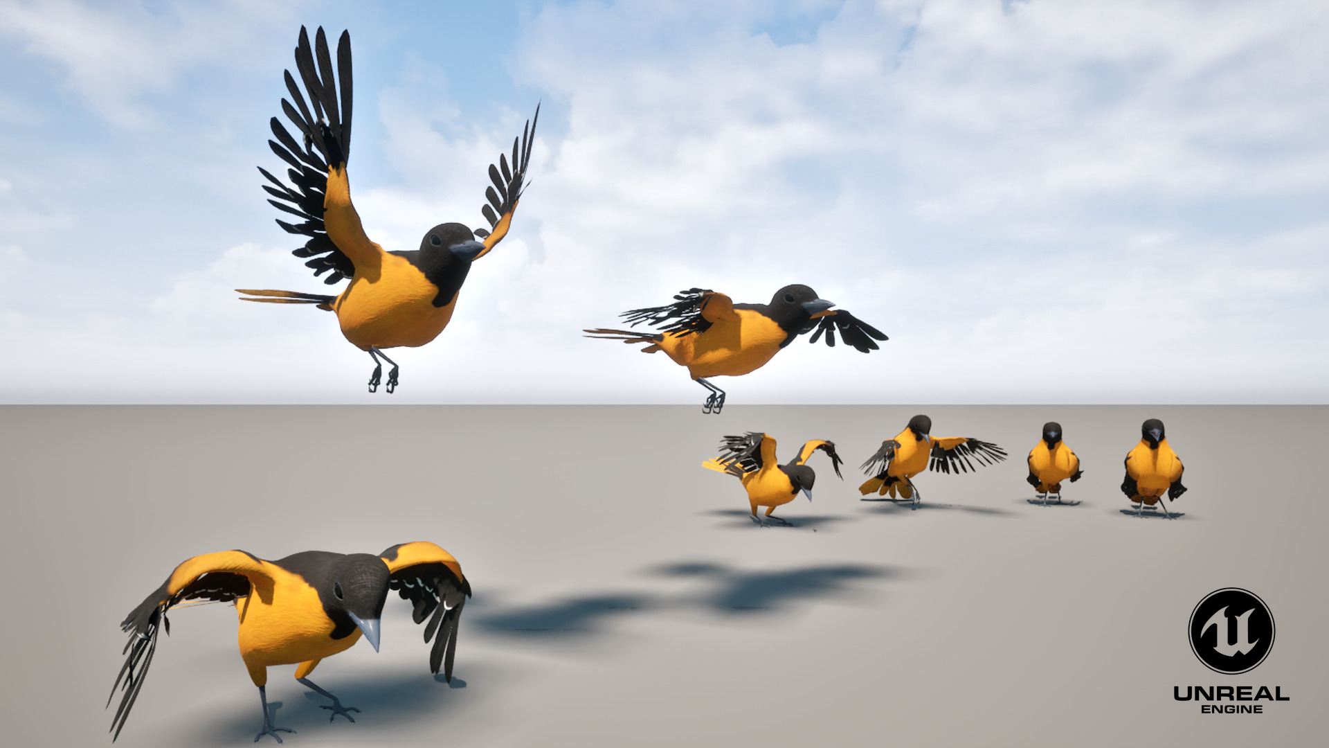 Animated Balitmore Oriole Bird 3D model_18
