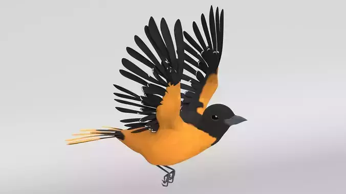 Animated Balitmore Oriole Bird 3D model