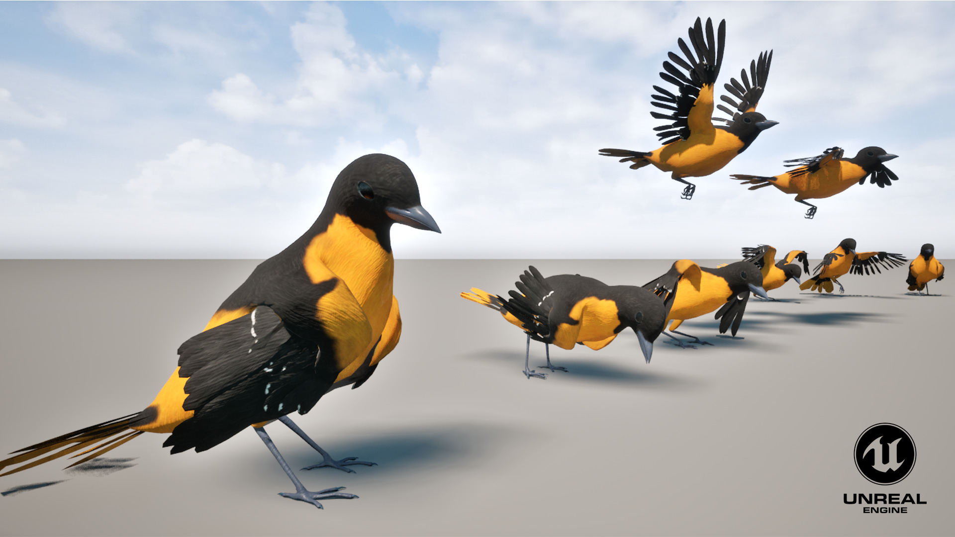 Animated Balitmore Oriole Bird 3D model_19