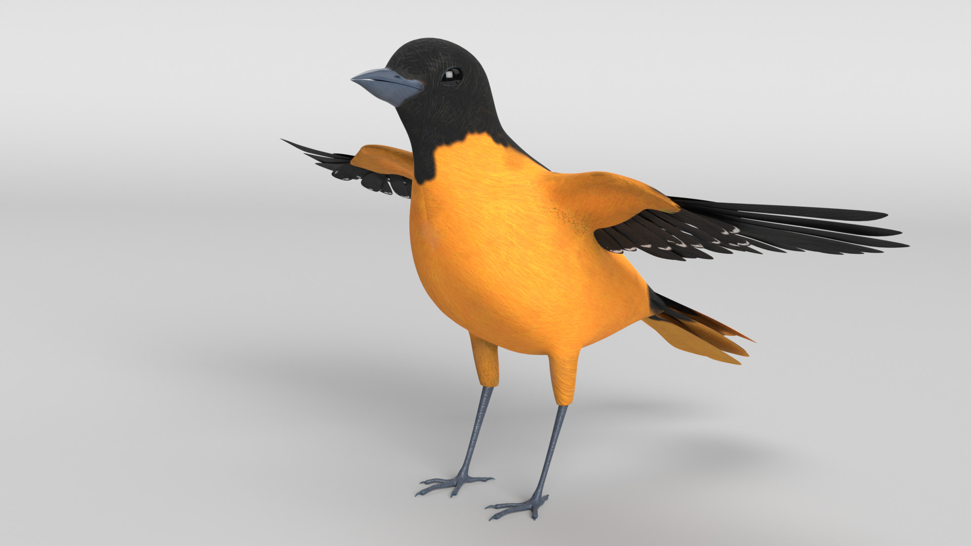 Animated Balitmore Oriole Bird 3D model_13