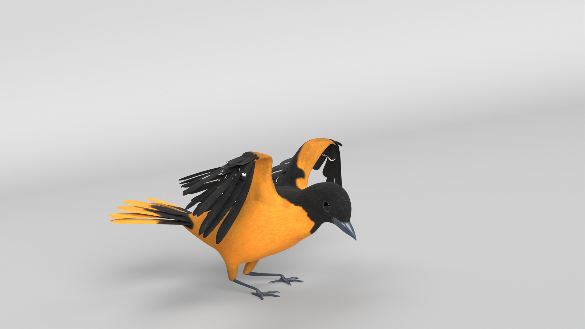 Animated Balitmore Oriole Bird 3D model_3