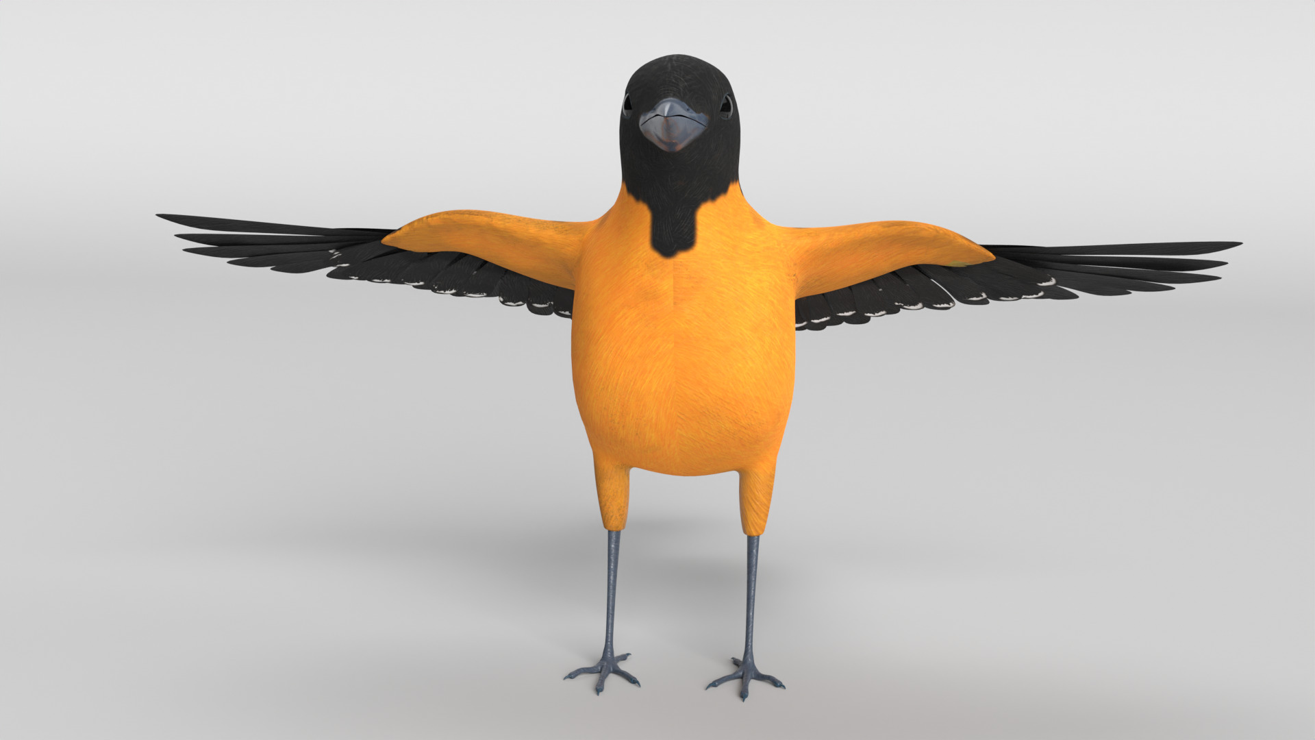 Animated Balitmore Oriole Bird 3D model_14