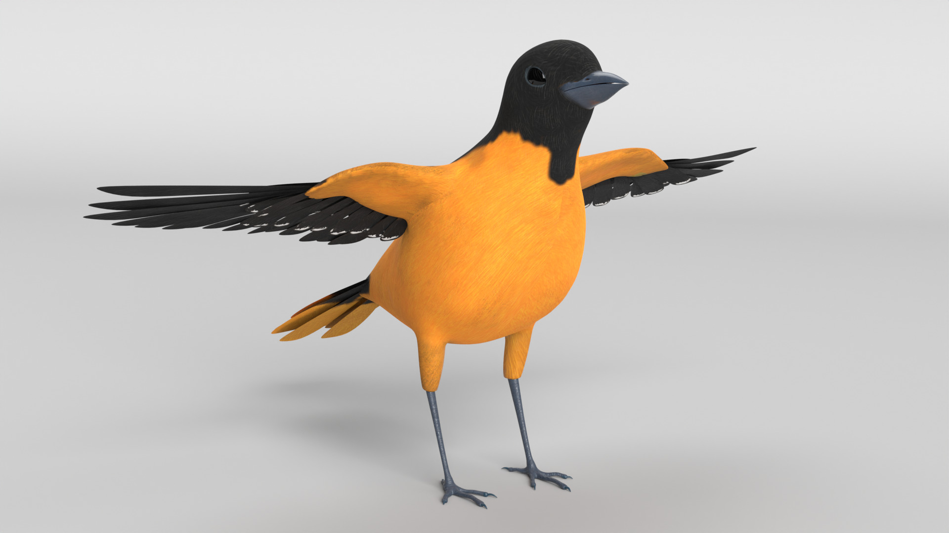 Animated Balitmore Oriole Bird 3D model_15