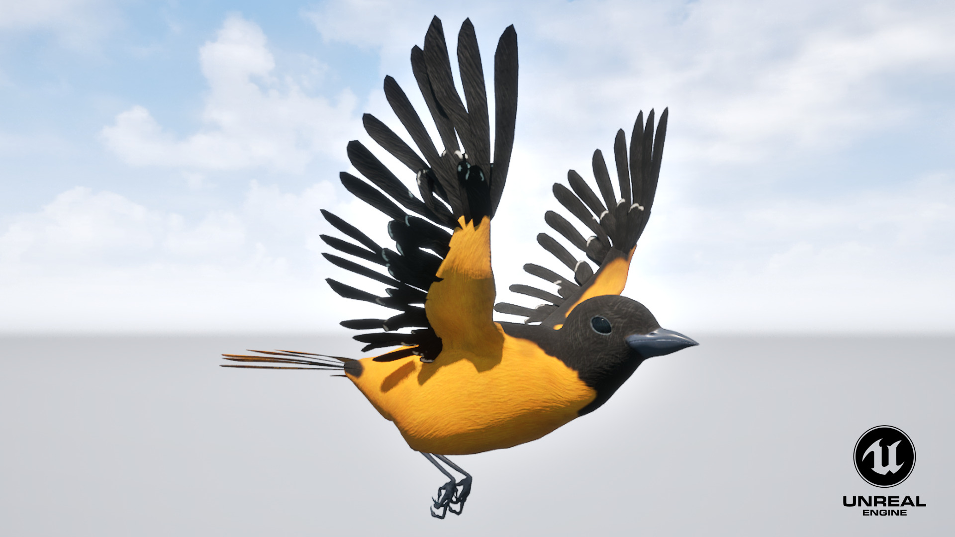 Animated Balitmore Oriole Bird 3D model_17