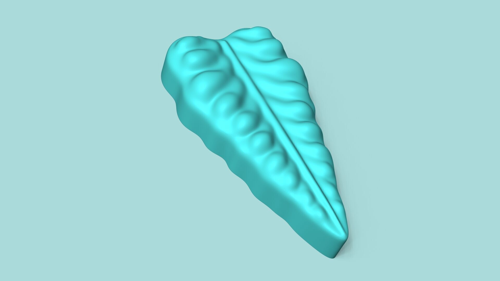 Ornamental Kale Leaf - Silicone Mold Maker - Template 3D print model_3