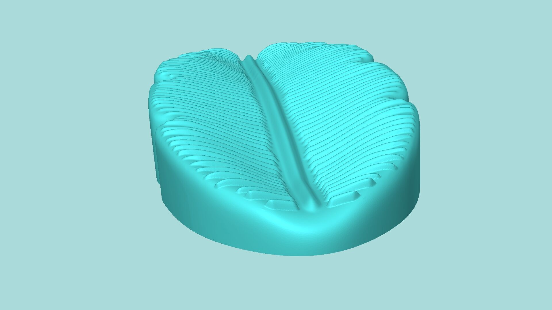 Banana Leaf - Silicone Mold Maker - Template 3D print model_5