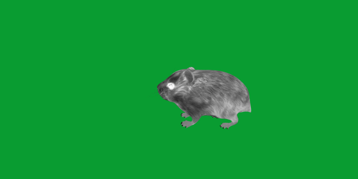 Roborovski Dwarf Hamster Low-poly 3D model_10