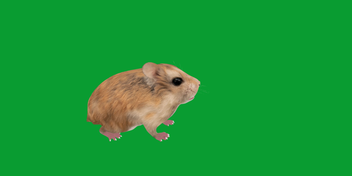 Roborovski Dwarf Hamster Low-poly 3D model_15