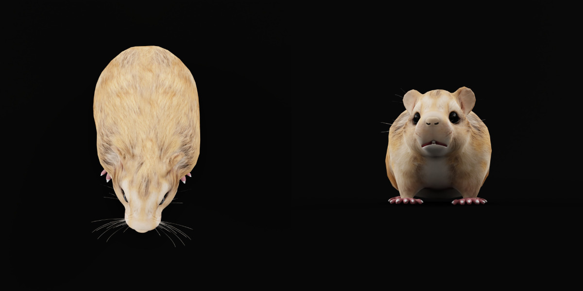Roborovski Dwarf Hamster Low-poly 3D model_13