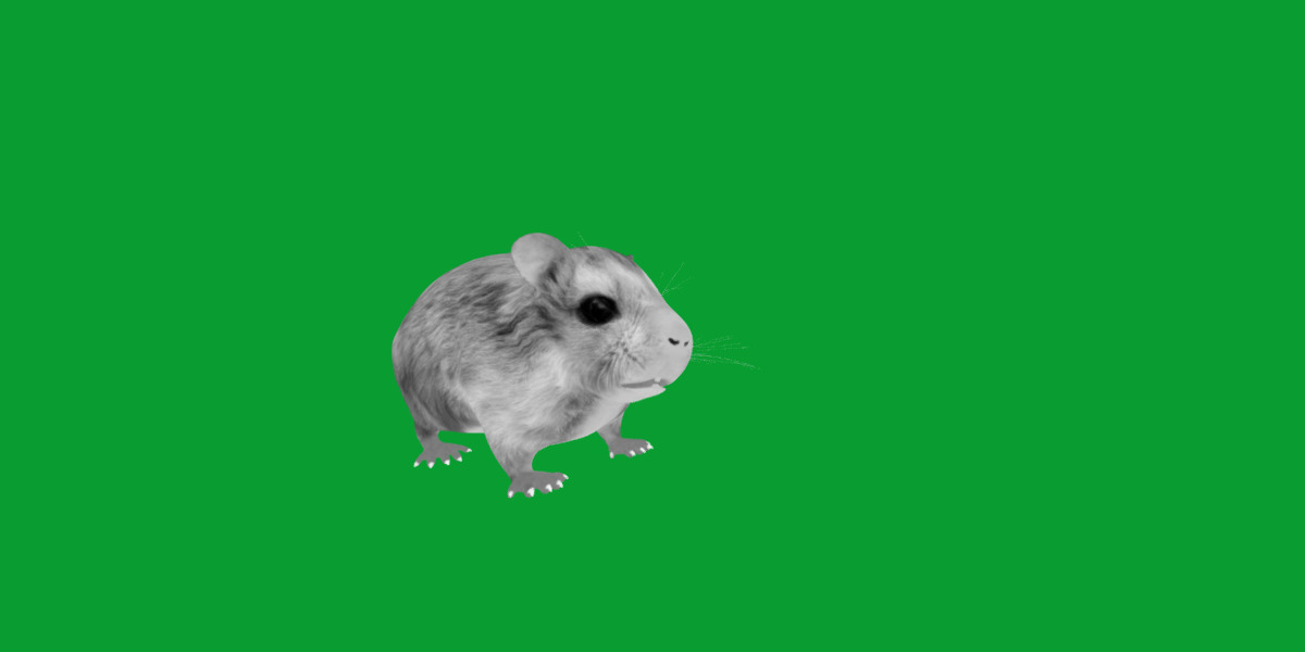 Roborovski Dwarf Hamster Low-poly 3D model_12