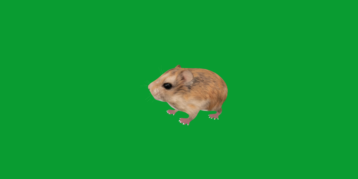 Roborovski Dwarf Hamster Low-poly 3D model_35