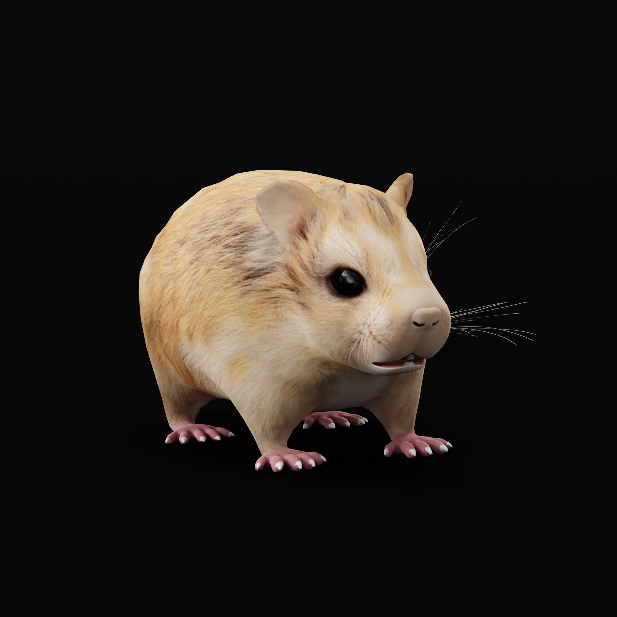 Roborovski Dwarf Hamster Low-poly 3D model_55