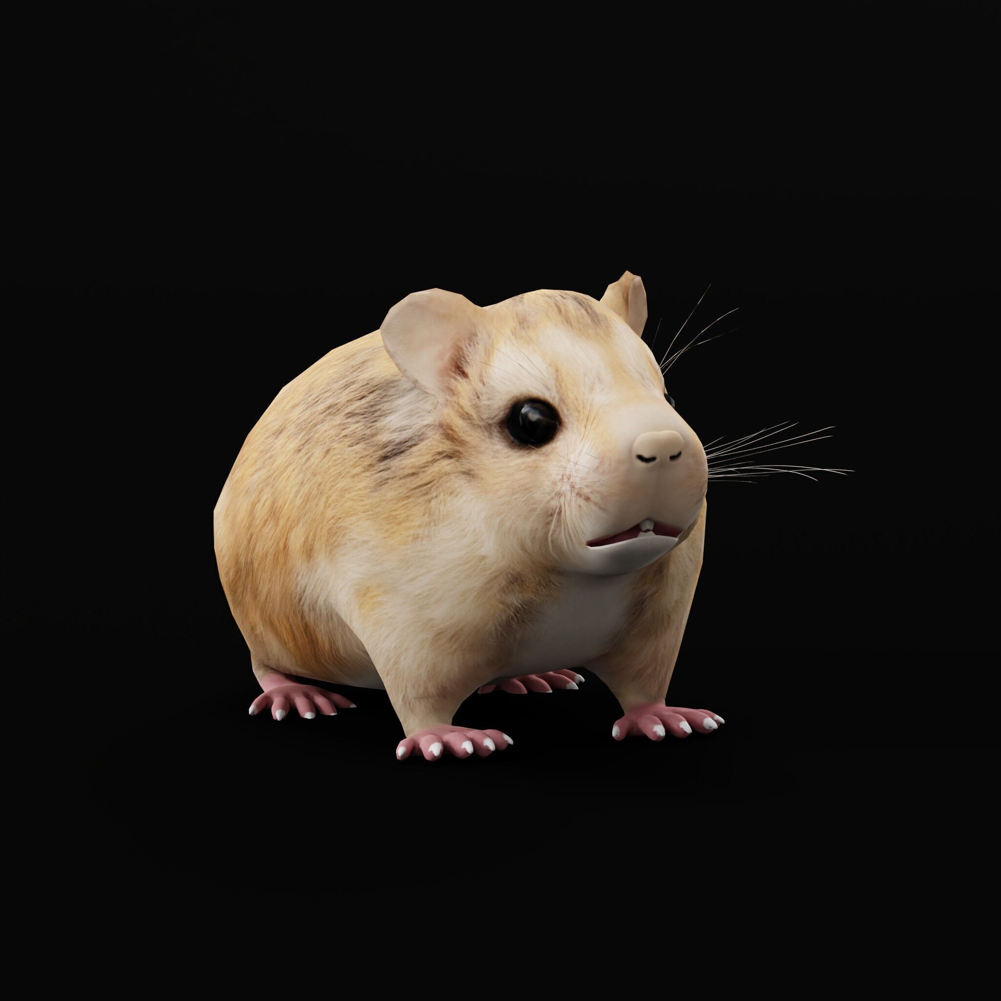 Roborovski Dwarf Hamster Low-poly 3D model_49