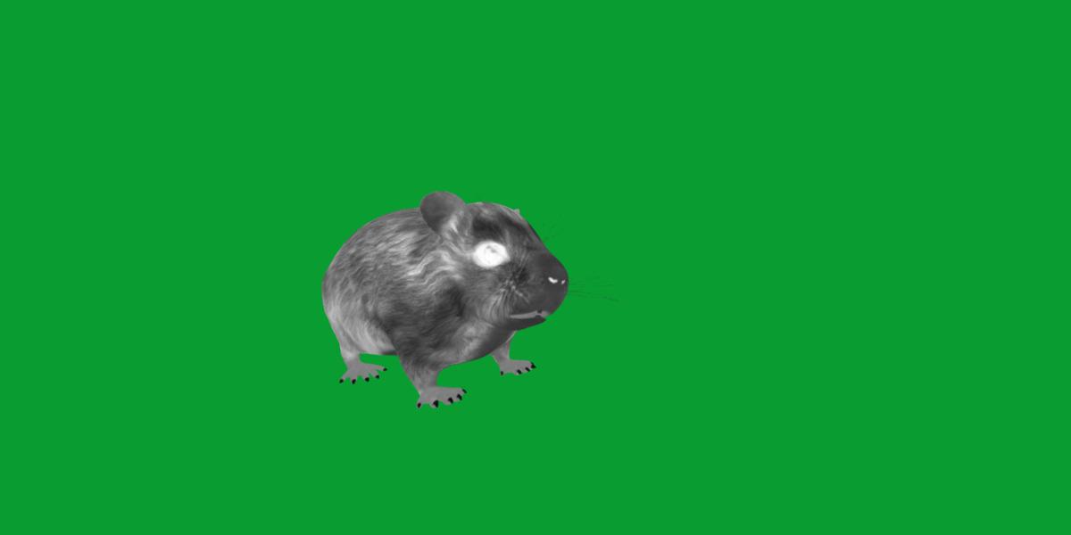 Roborovski Dwarf Hamster Low-poly 3D model_11
