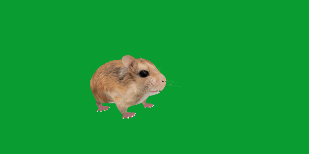 Roborovski Dwarf Hamster Low-poly 3D model_31