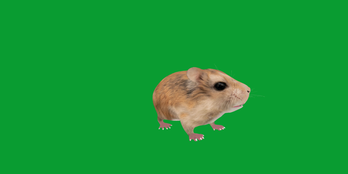 Roborovski Dwarf Hamster Low-poly 3D model_34