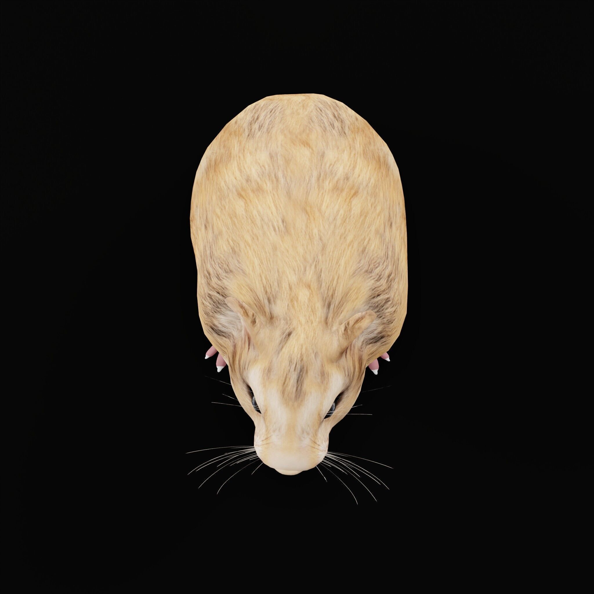 Roborovski Dwarf Hamster Low-poly 3D model_52