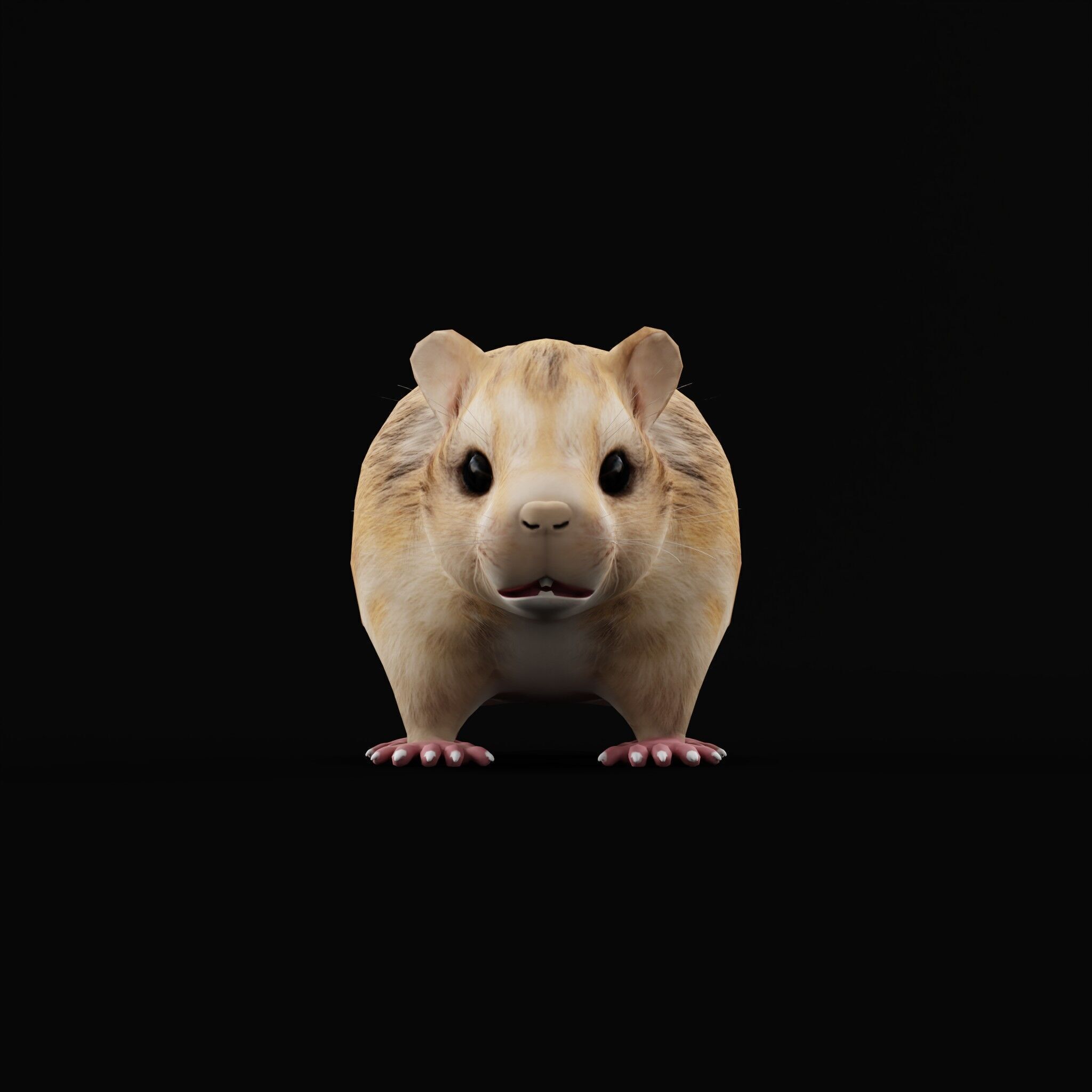 Roborovski Dwarf Hamster Low-poly 3D model_56