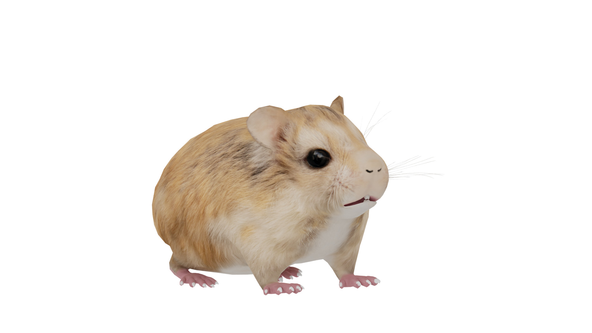 Roborovski Dwarf Hamster Low-poly 3D model_44