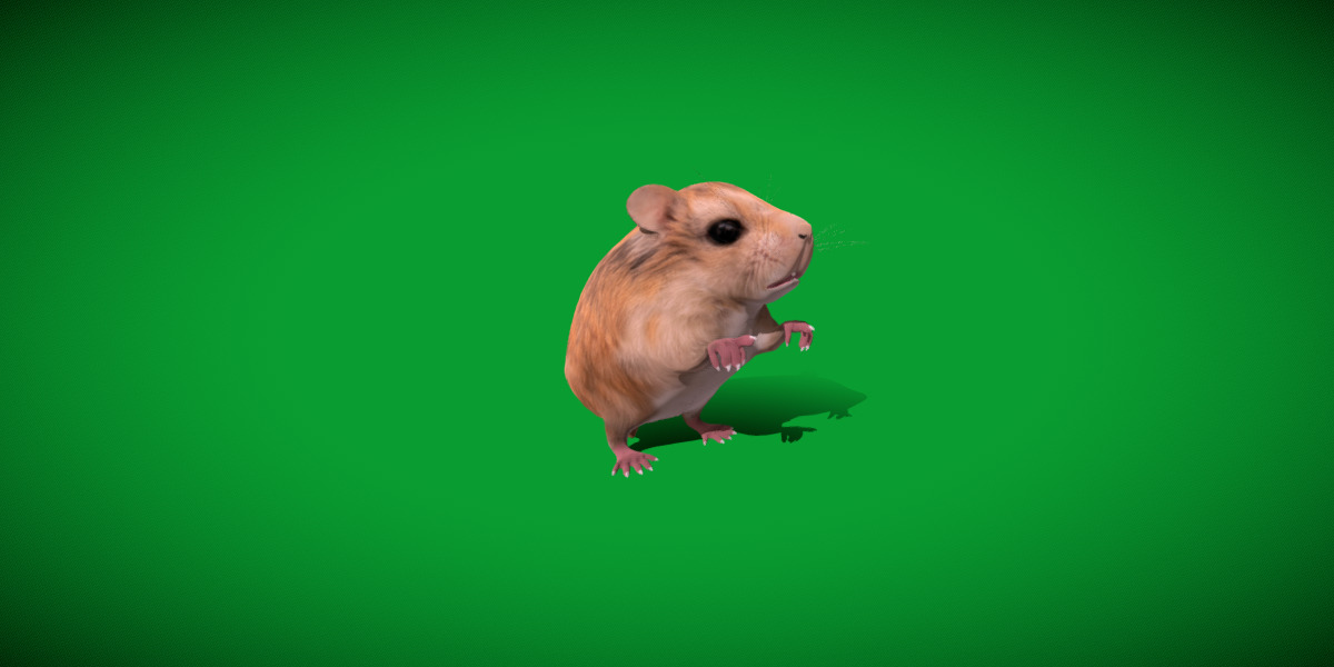 Roborovski Dwarf Hamster Low-poly 3D model_18