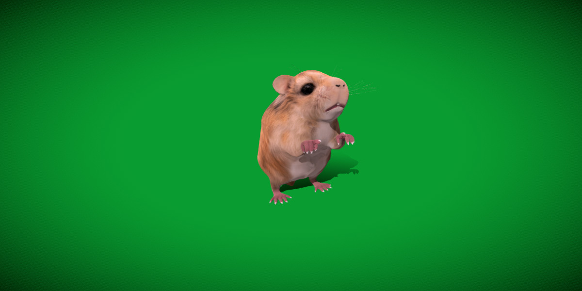 Roborovski Dwarf Hamster Low-poly 3D model_16