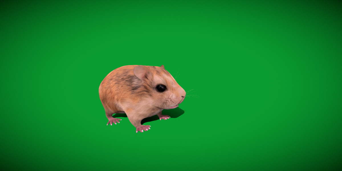 Roborovski Dwarf Hamster Low-poly 3D model_40
