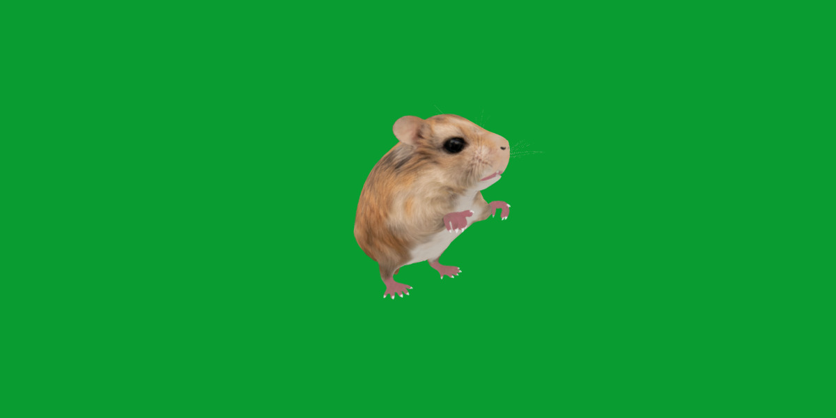 Roborovski Dwarf Hamster Low-poly 3D model_17