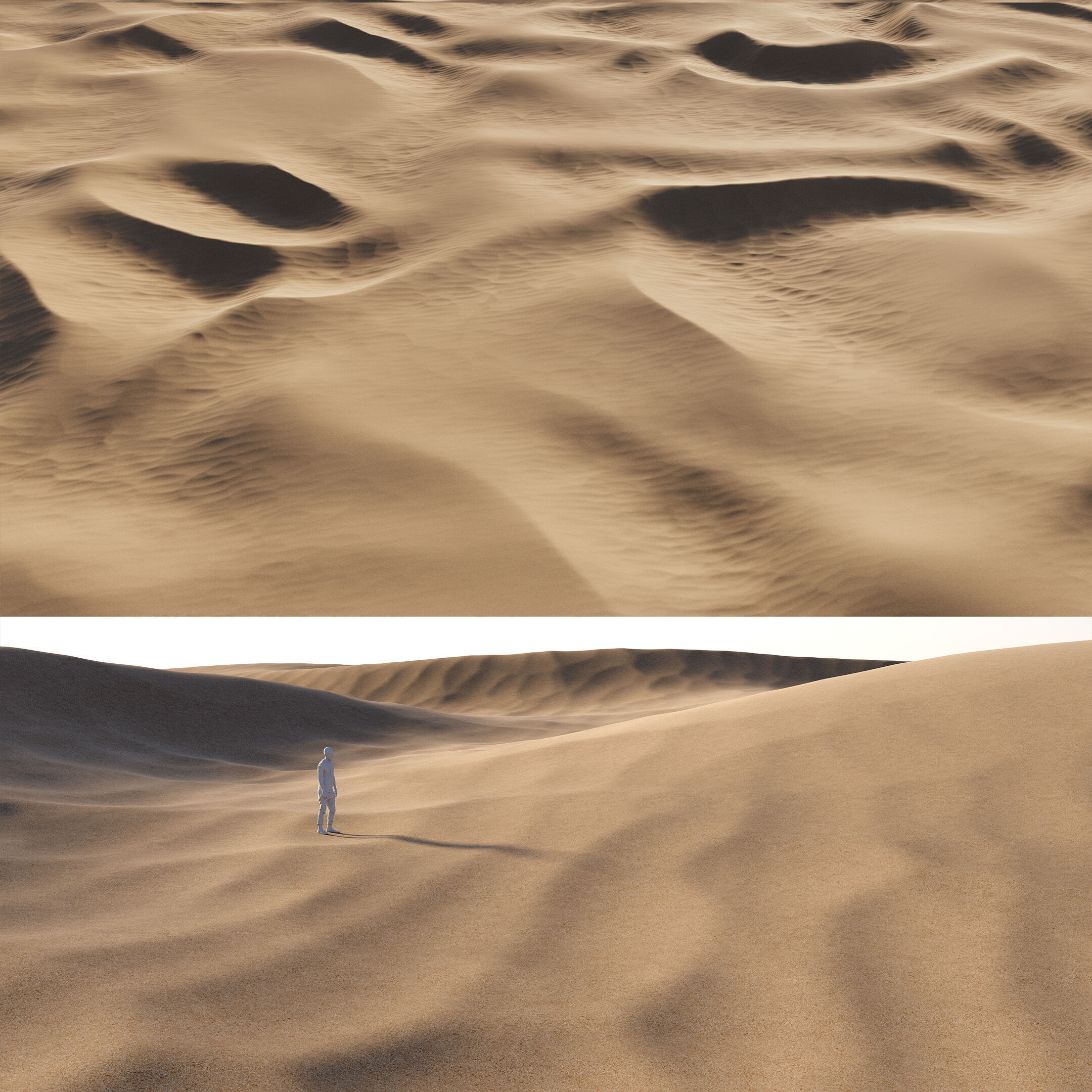 Dunes 3D model_3