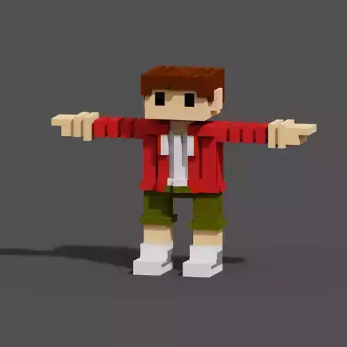 Character Voxel N47