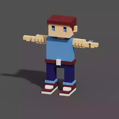 Character Voxel N45