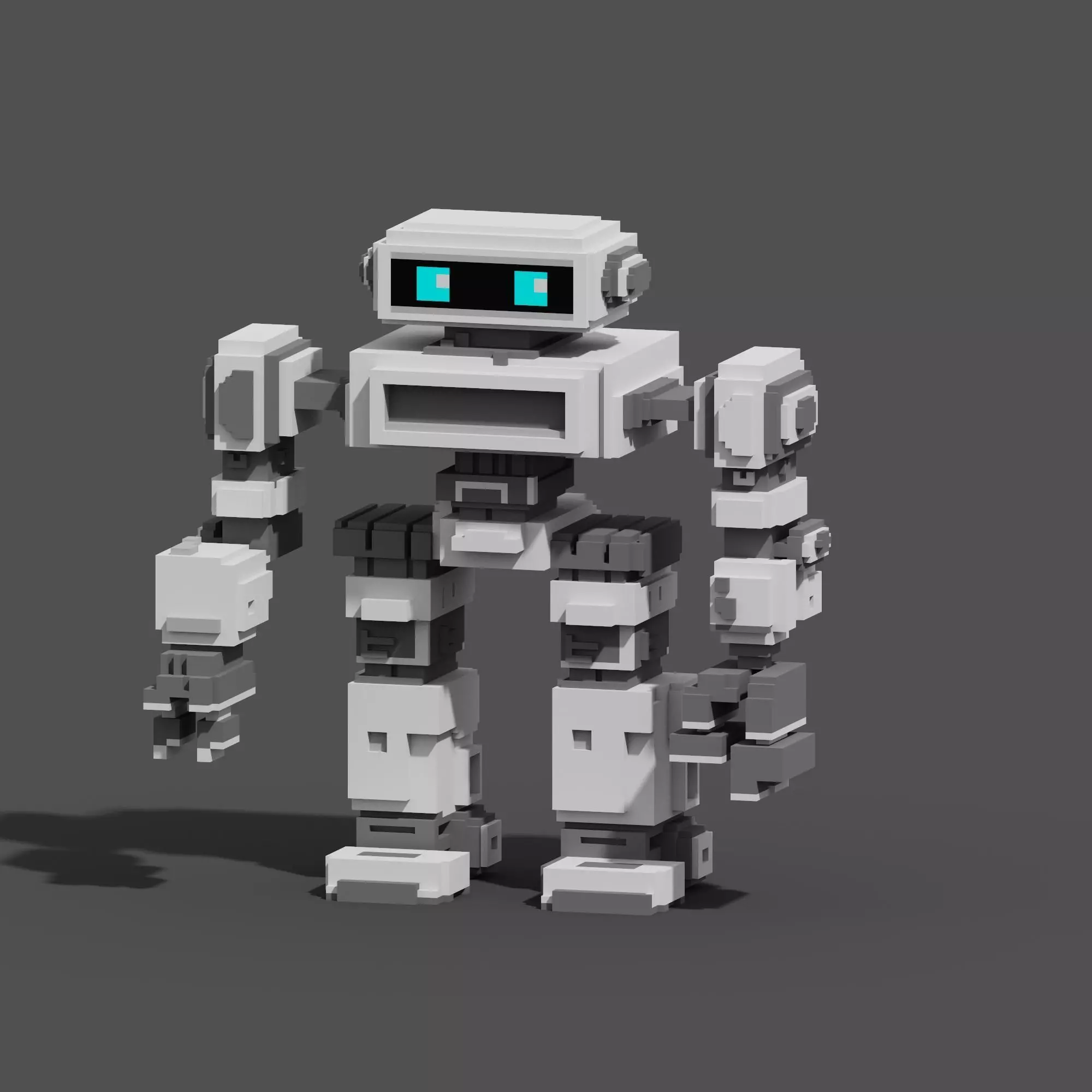 Character Voxel N36 3D model_0