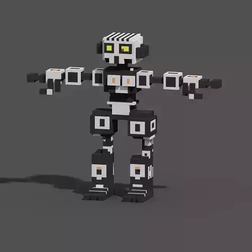 Character Voxel N31