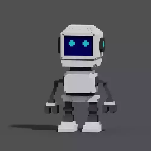 Character Voxel N30