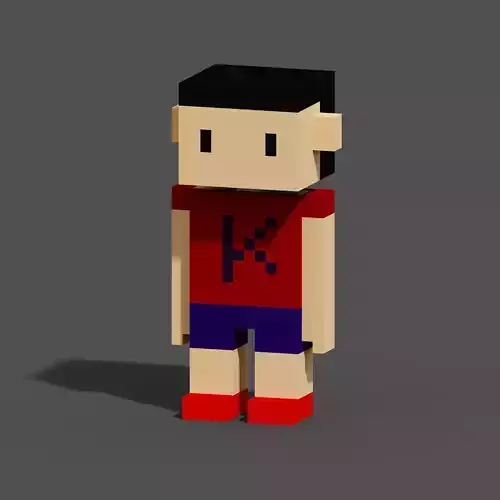 Character Voxel N23