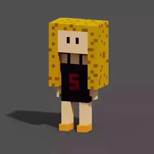 Character Voxel N22