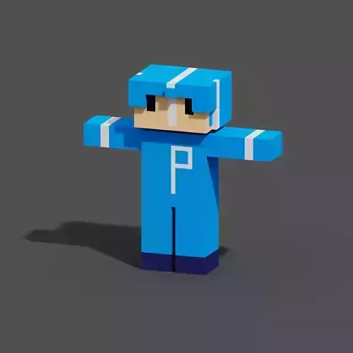 Character Voxel N20