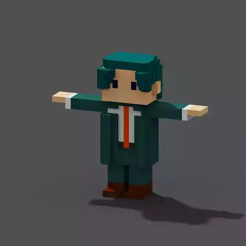 Character Voxel N19