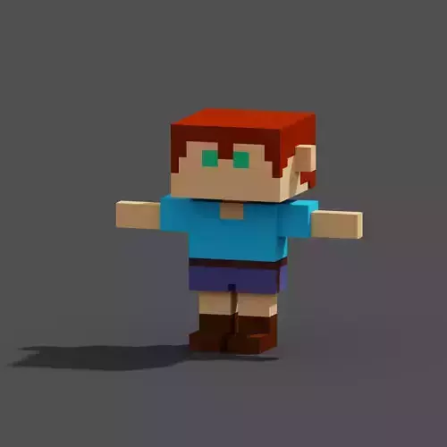 Character Voxel N18