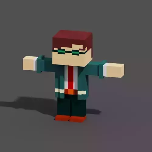 Character Voxel N17