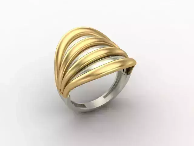 Two parts ring