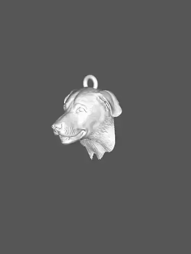 Labrador x Border Collie STL - Dog Keychain