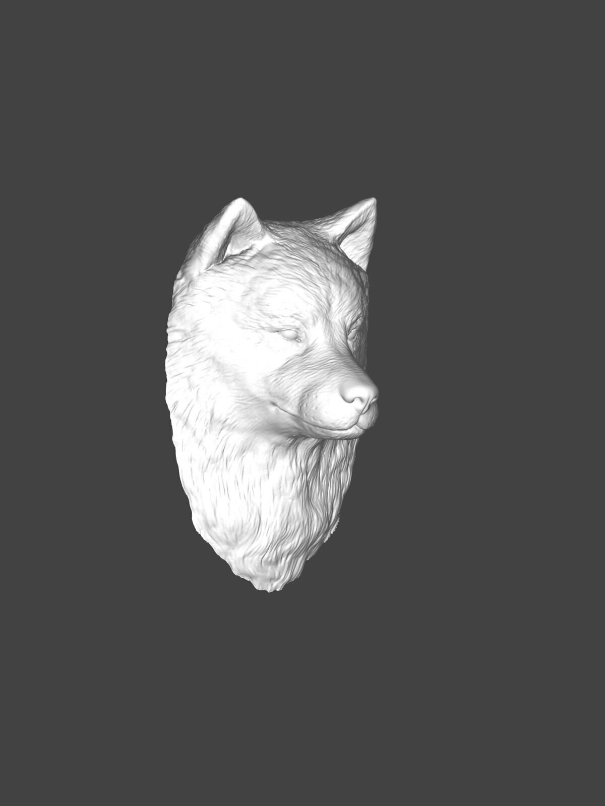Samoyed Dog STL - 3D Fluffy Dog Keychain  3D print model_4