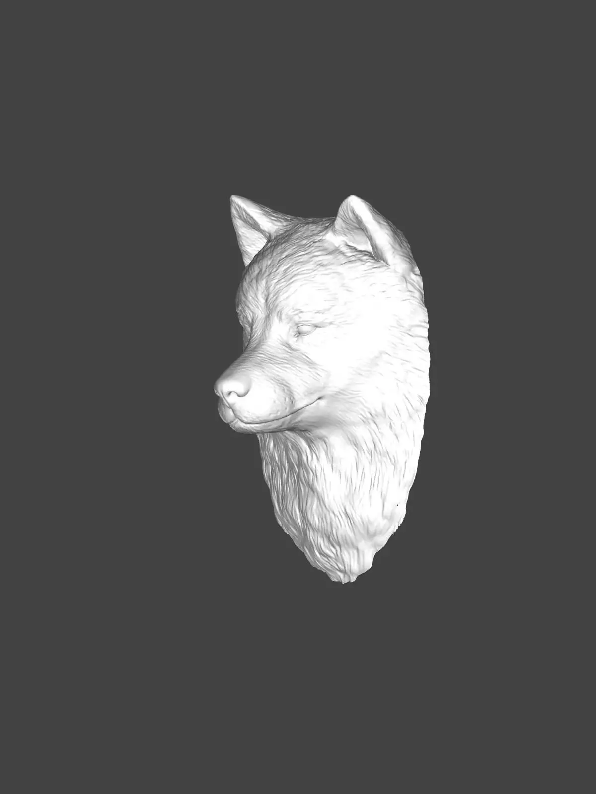 Samoyed Dog STL - 3D Fluffy Dog Keychain  3D print model_0